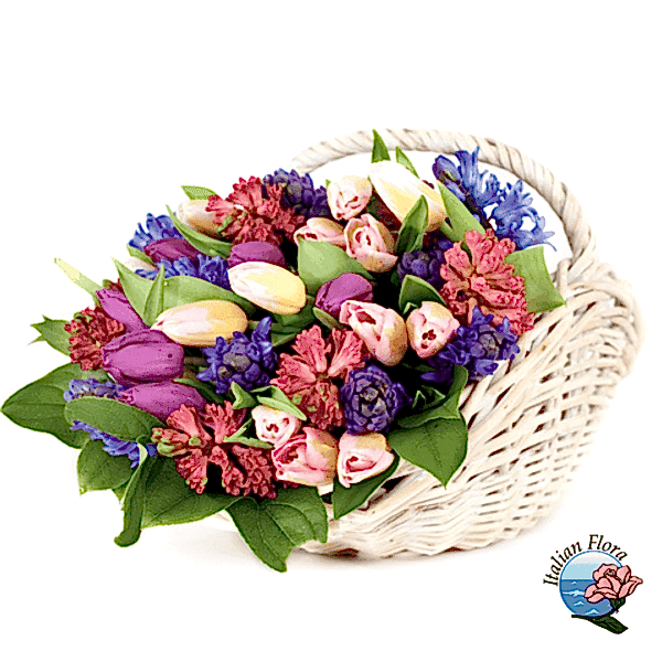 Basket of multicolour tulips