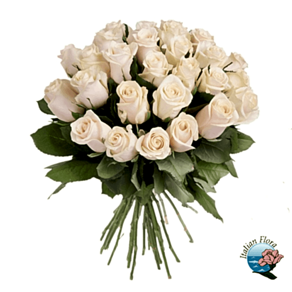 Bouquet of cream roses