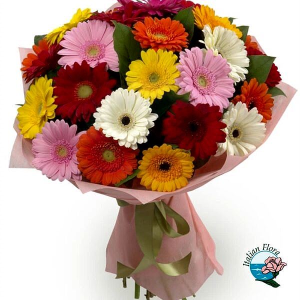 Bouquet of-multi coloured gerberas