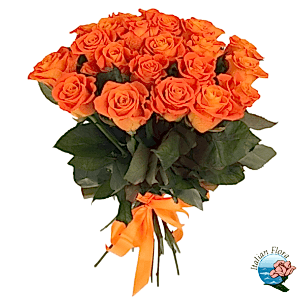 Orange roses bunch