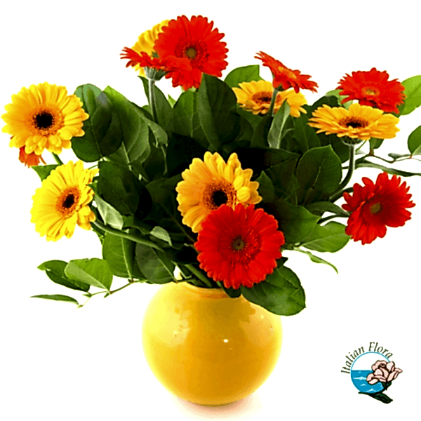 Vase arrangement of colourful gerberas