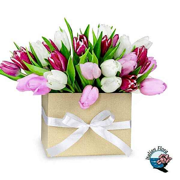 Pink and white tulips