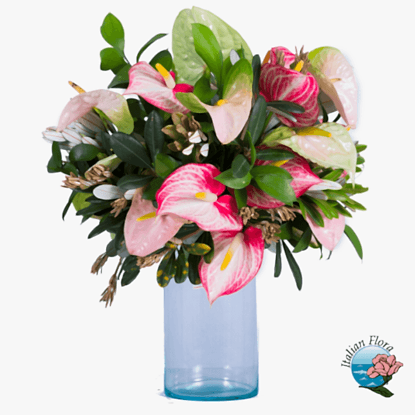 Bouquet of pink anthurium flowers