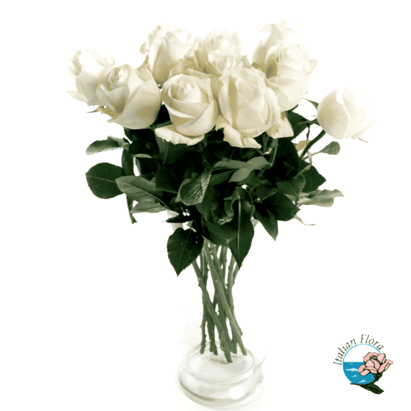 9 white roses