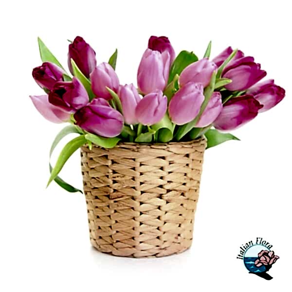 basket of light pink tulips