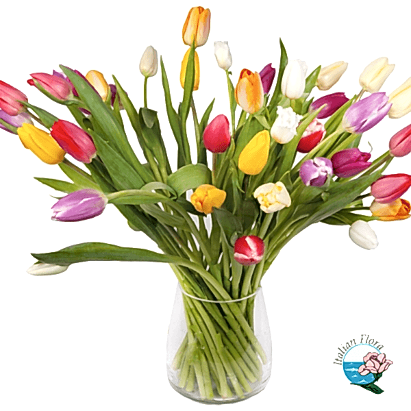 bouquet of 50 rainbow tulips