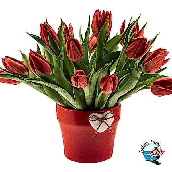 Bouquet of red tulips