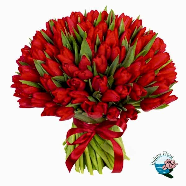 100 red tulips