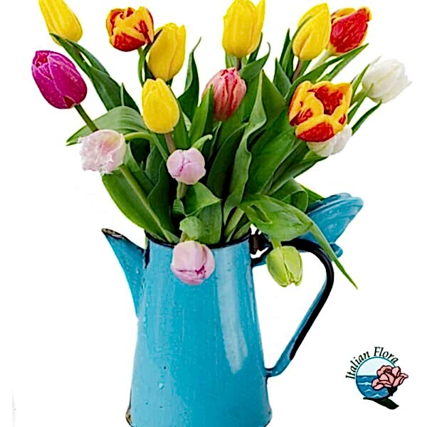 Bouquet of Colourful Tulips with Vase