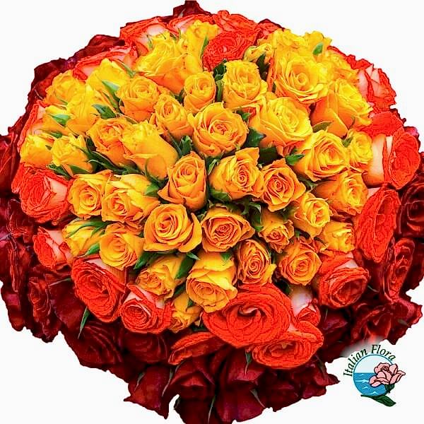 100 red orange and yellow roses