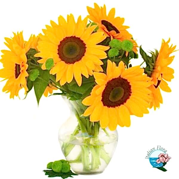 sunflowers in glass vase